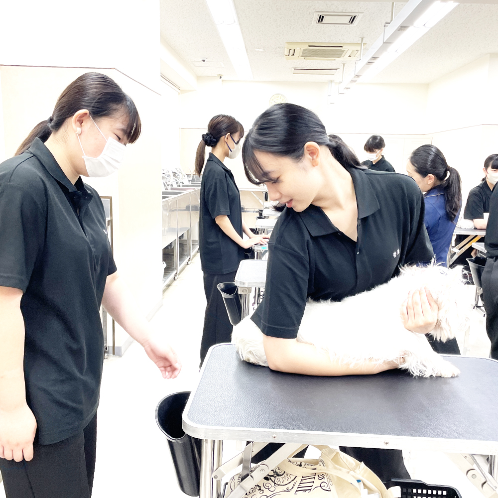 1年生の保定実習